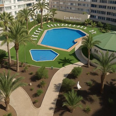 Residence Los Molinos 마스팔로마스 외부 사진
